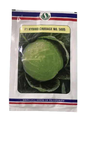 5005 F1 Cabbage Seeds – Tight-Headed, Cold-Tolerant Hybrid (Sungro Seeds) 1
