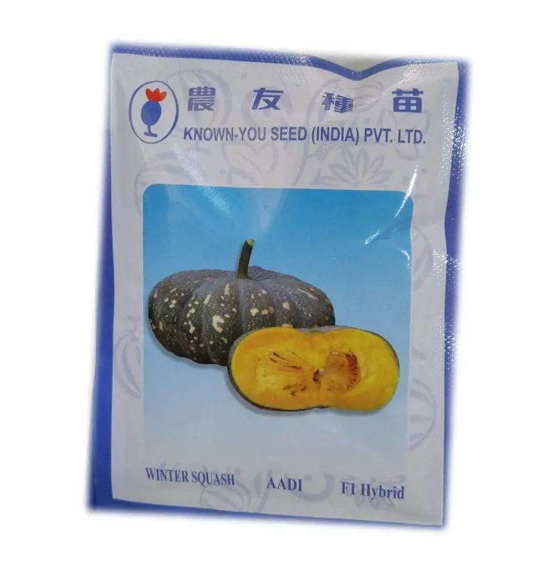 Aadi Winter Squash Seeds – Heirloom-Style, Orange-Fleshed Pumpkin By Known You 1