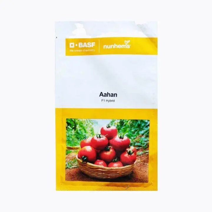 Aahan F1 Tomato – High-Yielding, Crack-Resistant Hybrid (Basf | Nunhems) 1