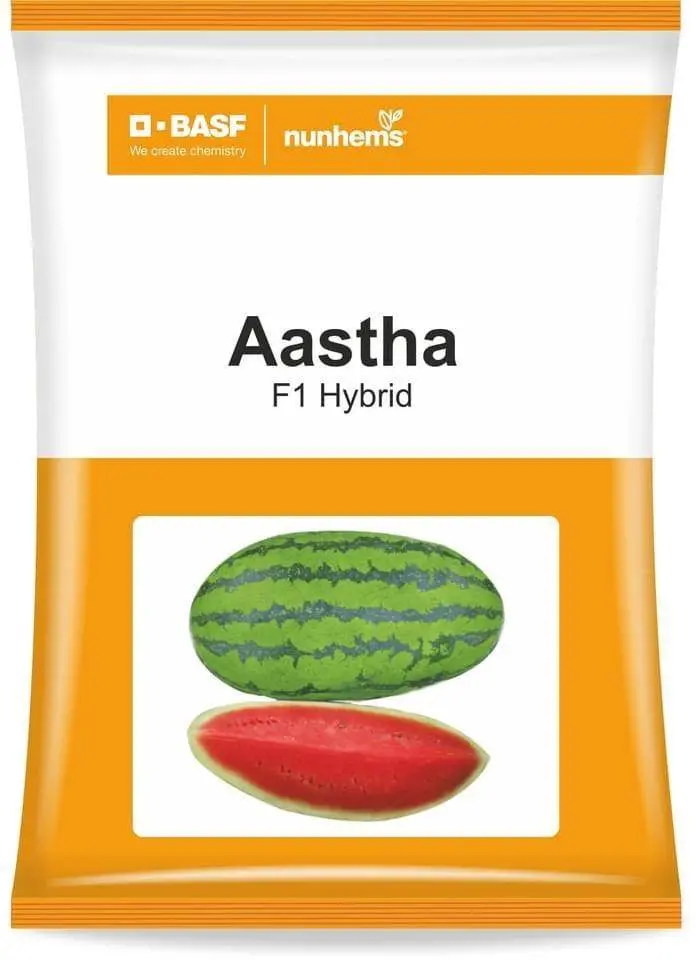 Aastha Watermelon Seeds – Nunhems Disease-Resistant F1 Hybrid 1