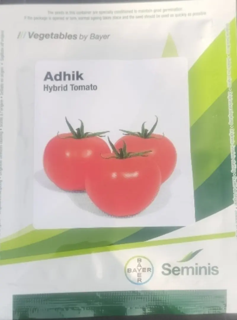 Adhik F1 Tomato Seeds – Seminis Early-Maturing Determinate Hybrid 1
