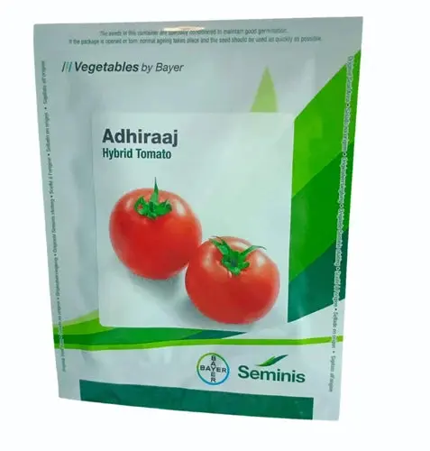 Adhiraaj F1 Tomato Seeds – Seminis Indeterminate Vine Hybrid 1