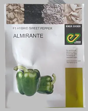 Almirante F1 Capsicum – Green-To-Red Bell Pepper Hybrid With Thick Walls (Enza Zaden) 1
