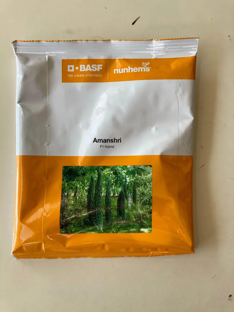 Amanshri Bitter Gourd Hybrid Seeds – Nunhems 1