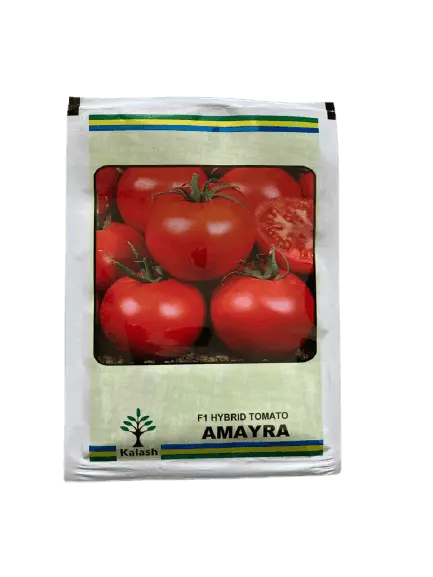 Amayra F1 Tomato Hybrid Seeds – Kalash Seeds 1
