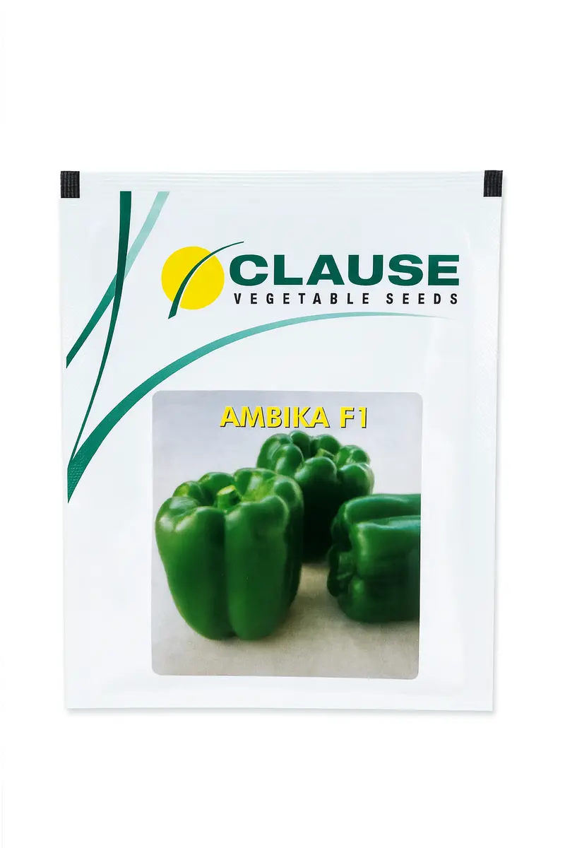 Ambika F1 Capsicum – High-Setting, Uniform Fruit Hybrid (Clause) 1