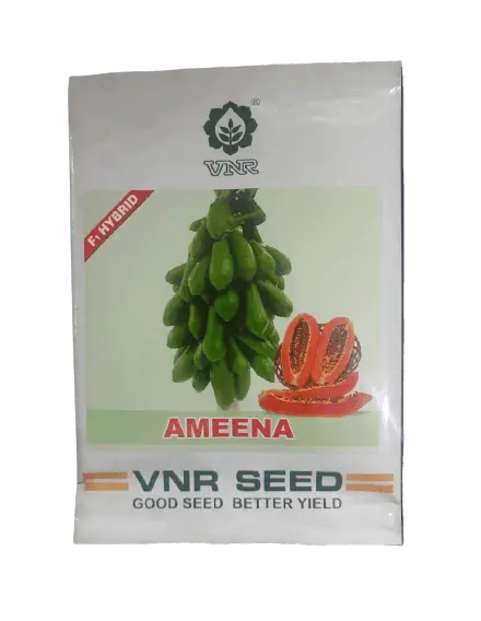 Ameena F1 Hybrid Papaya Seeds – Early Bearing, Sweet Fruit (Vnr) 1