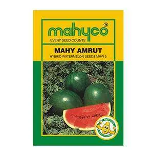 Amrut Mhw 5 Watermelon Seeds – F1 Hybrid – Mahyco 1