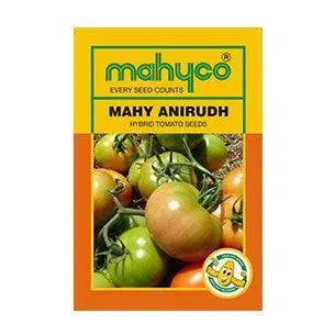 Anirudh Tomato Seeds – F1 Hybrid – Mahyco 1