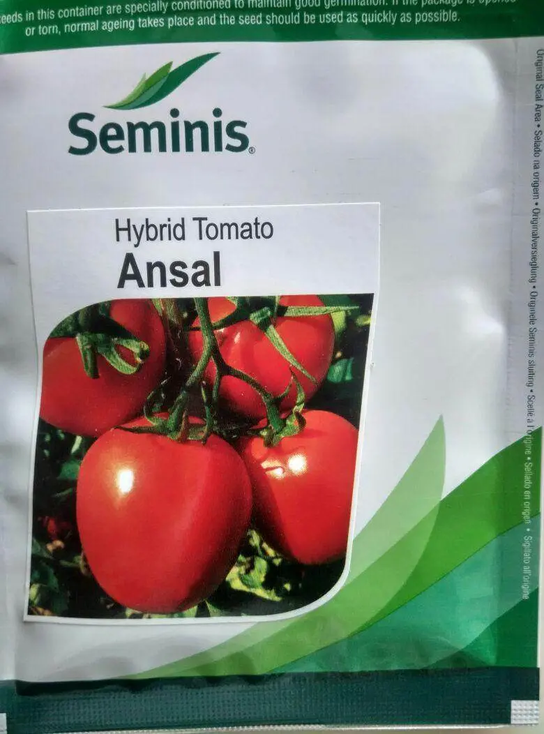 Ansal Tomato F1 Hybrid Seeds By Seminis 1