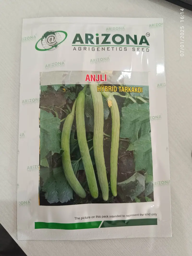Arizona Agrigenetics Anjli F1 Tarkakdi – Spiny Ridge Gourd Hybrid 1