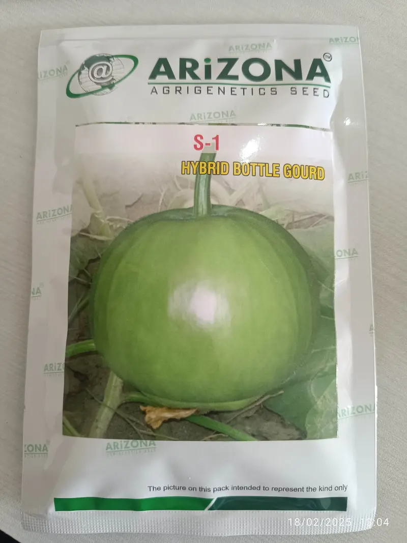 Arizona Agrigenetics S-1 Round F1 Bottle Gourd – Compact, High-Yielding 1