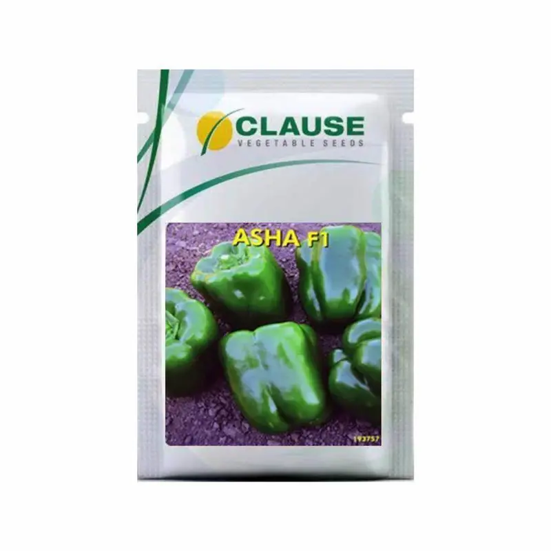 Asha F1 Capsicum Seeds – High-Yield Hybrid Bell Pepper 1