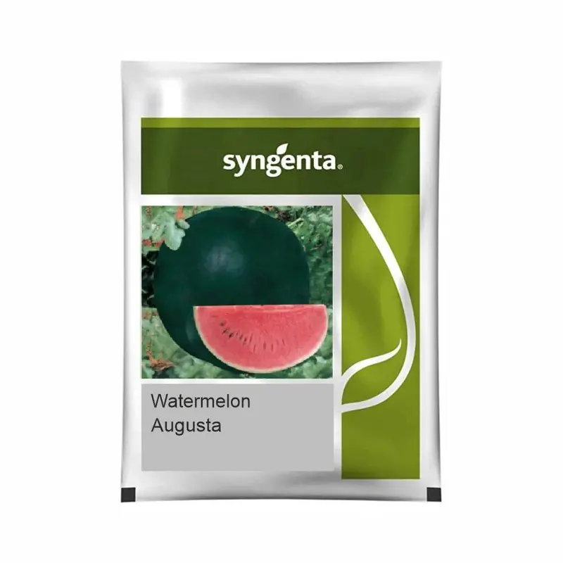 Augasta F1 Watermelon Seeds – Early-Season Hybrid With Deep Red Flesh (Syngenta) 1