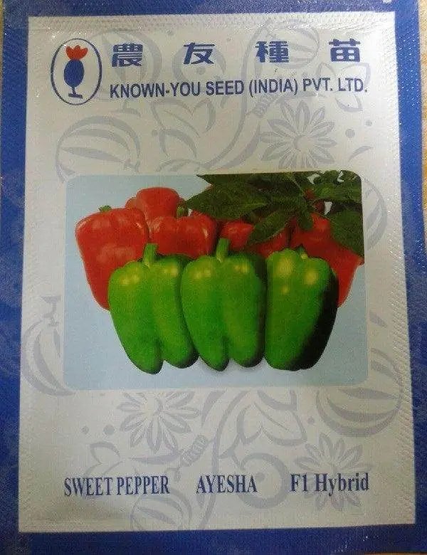 Ayesha Mild-Spice Sweet Pepper Seeds – Known You Hybrid 1