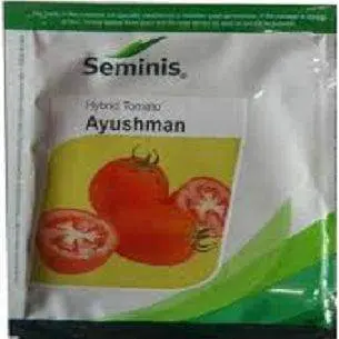 Ayushman Tomato F1 Hybrid Seeds By Seminis 1