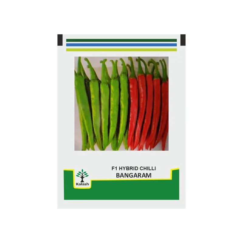 Bangaram F1 Chilli – High-Pungency, Uniform Pod Hybrid For Processing & Fresh Markets (Kalash Seeds) 1