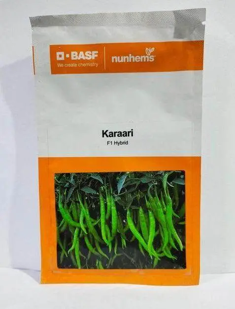 Basf Nunhems Karaari F1 Chilli – Heat-Tolerant Capsicum 1