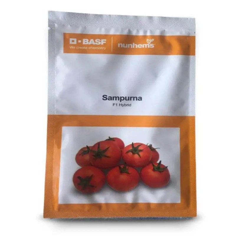 Basf | Nunhems Sampurna F1 Hybrid Tomato 1