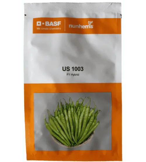 Basf Nunhems Us 1003 F1 Chilli – Crisp, High-Yield Variety 1