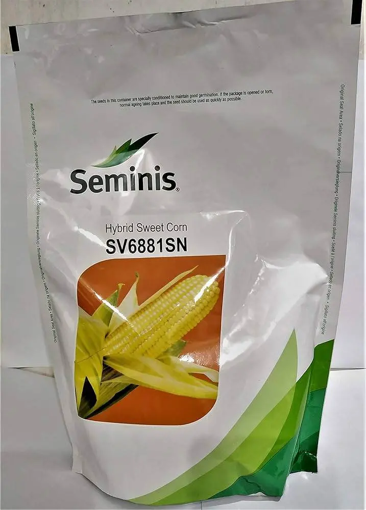Bayer Seminis Sv6881Sn F1 Sweet Corn – High-Yield Hybrid Seeds 1