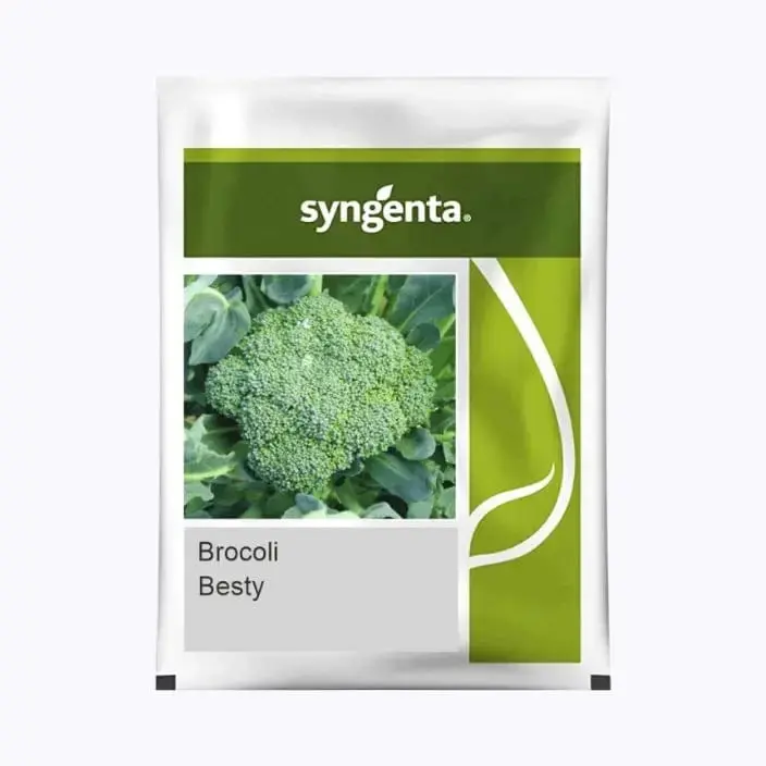 Besty F1 Broccoli Seeds – Tight Heads, Uniform Maturity, Cold-Hardy Hybrid 1
