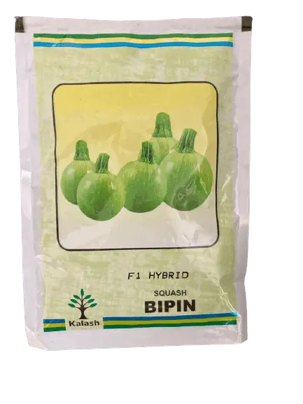Bipin Squash F1 Hybrid Seeds – Kalash Brand 1