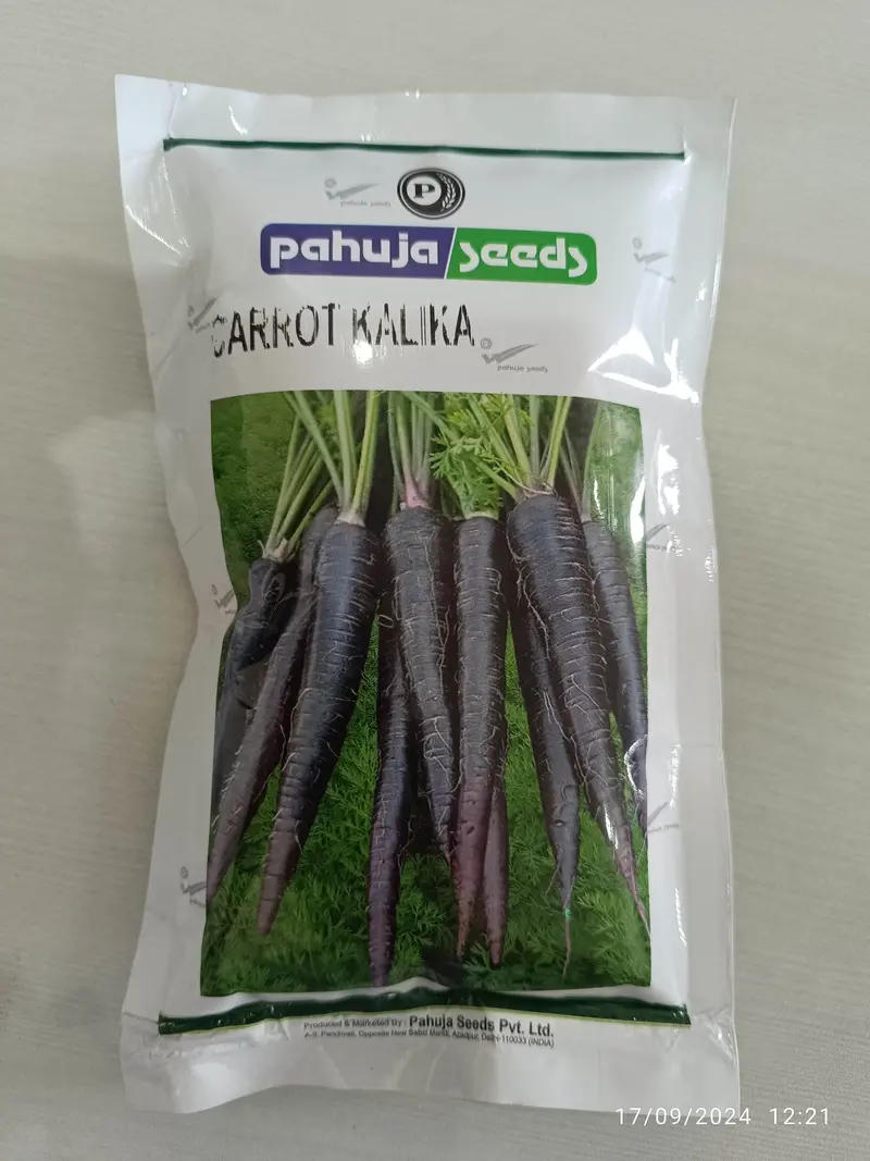 Black Kalika Carrot Seeds – Heirloom-Style Deep-Rooted Variety 1