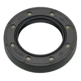 Briggs & Stratton 399781S Crankcase Oil Seal 1
