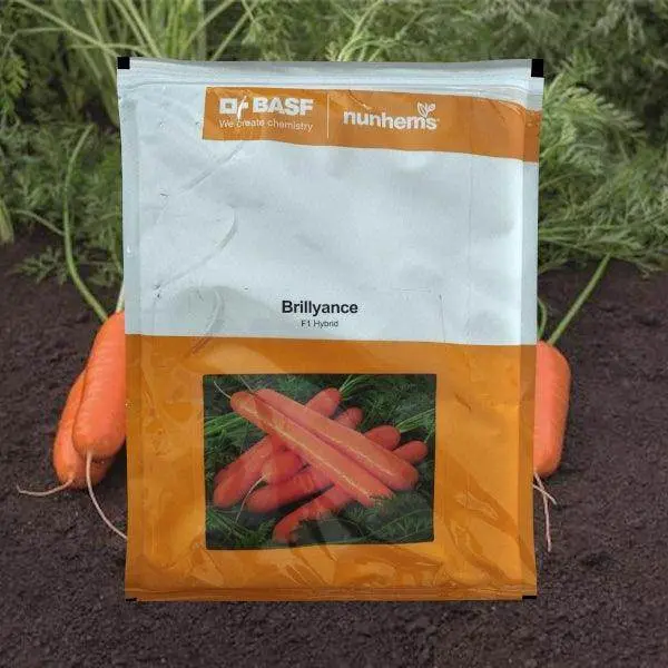 Brillyance Carrot – F1 Nantes Type By Basf Nunhems 1