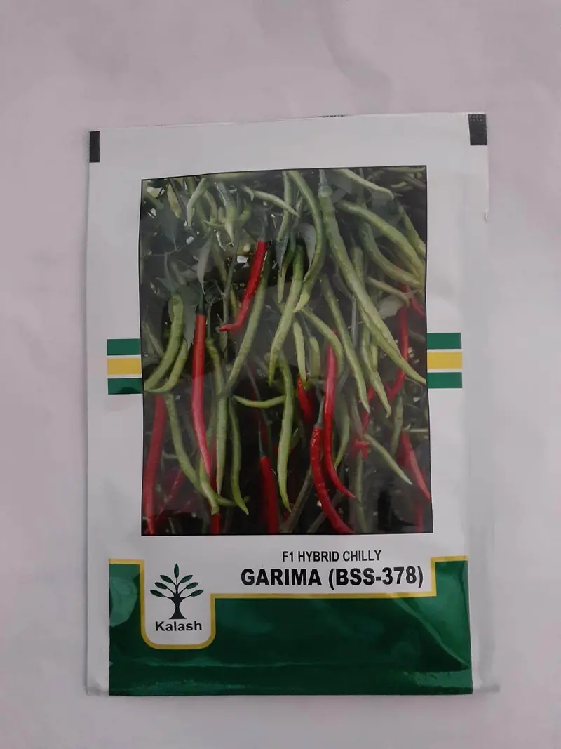 Bss-378 Garima F1 Hybrid Chilli Seeds – High-Yielding & Crisp Texture – Kalash Seeds 1