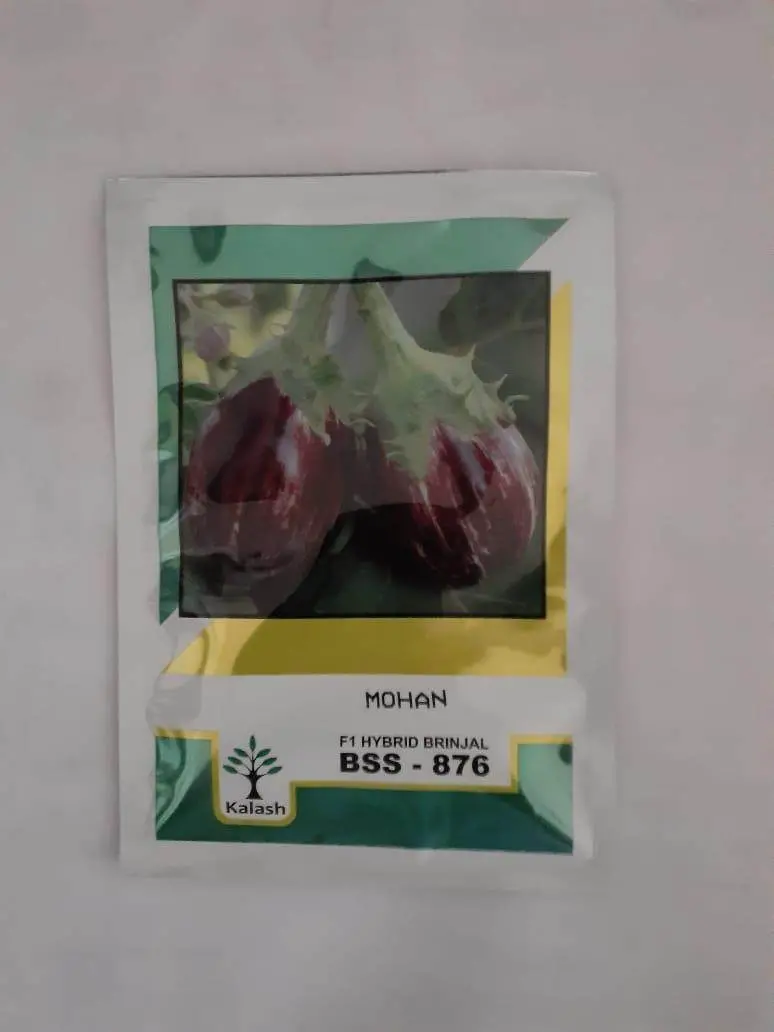 Bss-876 Mohan F1 Eggplant Seeds – High-Yield Hybrid Variety (Kalash Seeds) 1