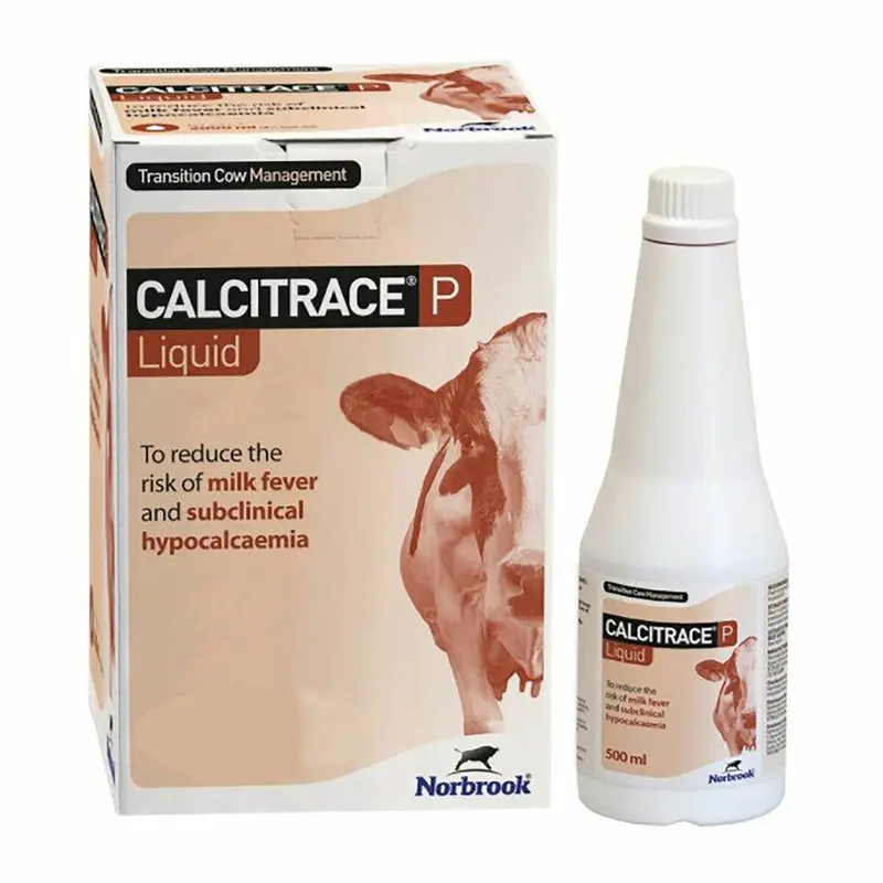 Calcitrace P Liquid Vitamin And Mineral Solution – 500Ml 1