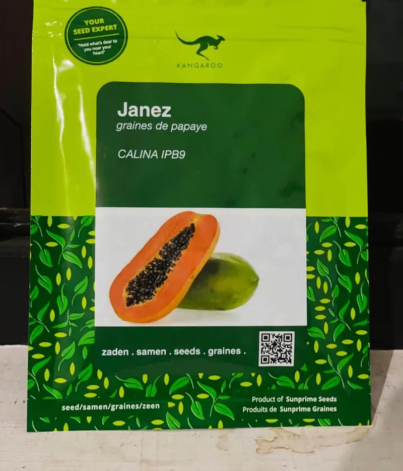 Calina Ipb9 Papaya Seeds – Disease-Resistant Hybrid Variety – Sunprime Seeds (Singapore) 1