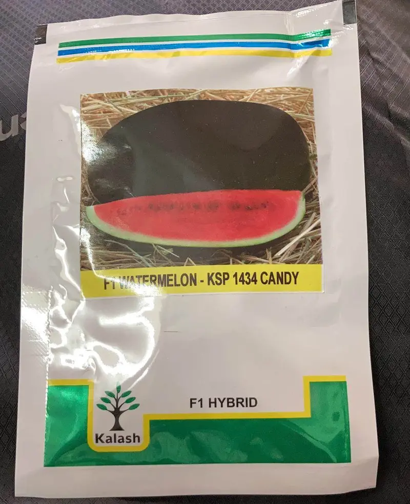 Candy F1 Watermelon – Sweet, Crimson-Fleshed Hybrid – Kalash Seeds 1