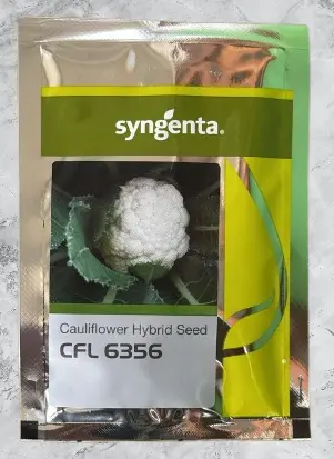 Cfl 6356 F1 Hybrid Cauliflower Seeds – Disease Resistant (Syngenta) 1