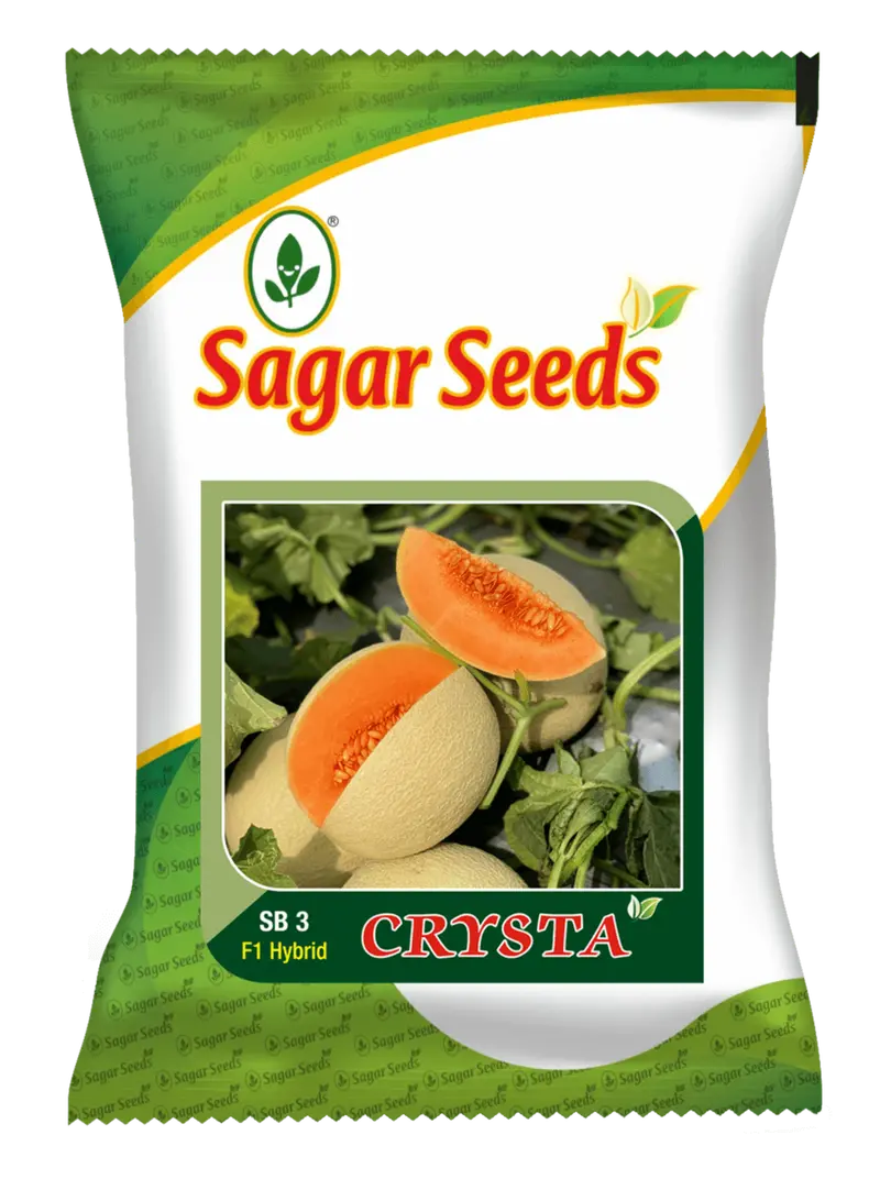 Crysta Muskmelon Seeds – Sweet, Early-Maturing Hybrid 1