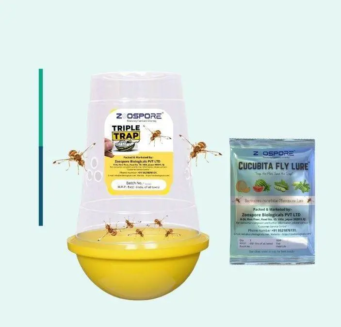 Cucurbit Fly Lure & Trap Kit – Zoospore Biologicals Organic Control 1