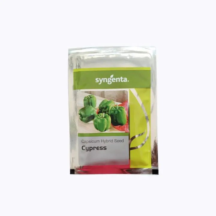 Cypress F1 Hybrid Capsicum Seeds – Blocky Fruit, Strong Vigor (Syngenta) 1