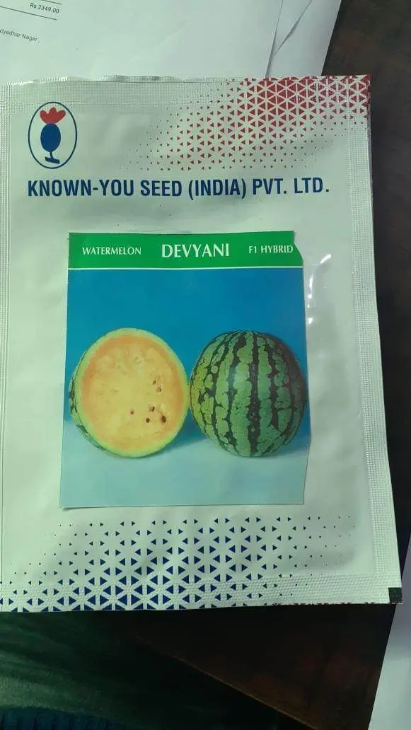 Devyani Yellow-Flesh Watermelon F1 Hybrid – Known You Seeds 1