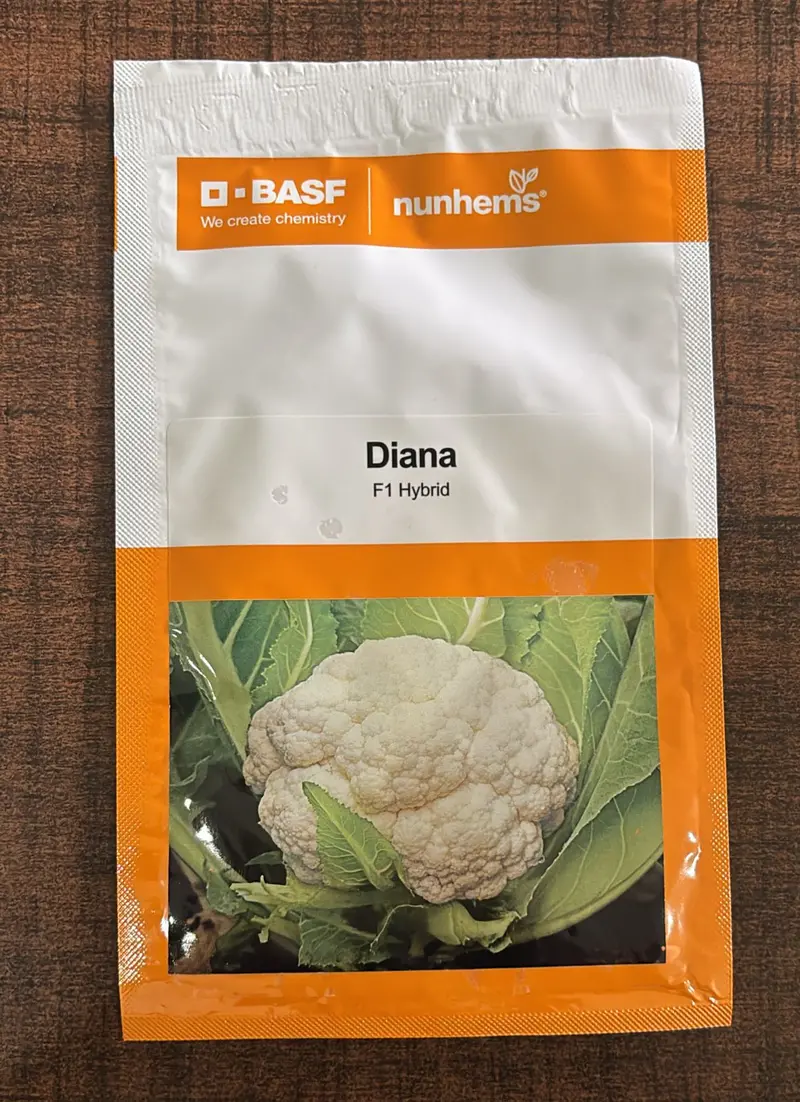 Diana F1 Cauliflower Seeds – Basf Nunhems High-Yield Hybrid 1