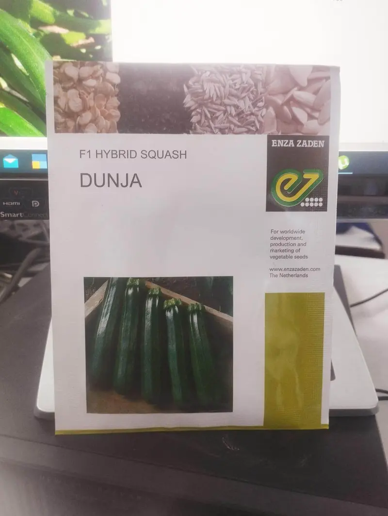 Dunja F1 Zucchini Seeds – Uniform, Dark-Green Fruit With Strong Vigor 1