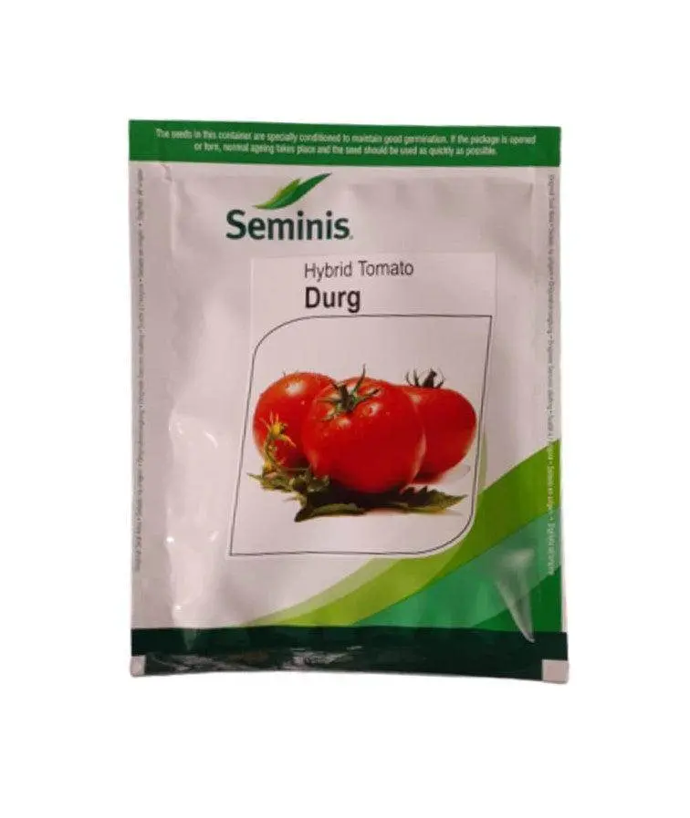 Durg F1 Tomato Seeds – Seminis Heat-Tolerant Hybrid 1