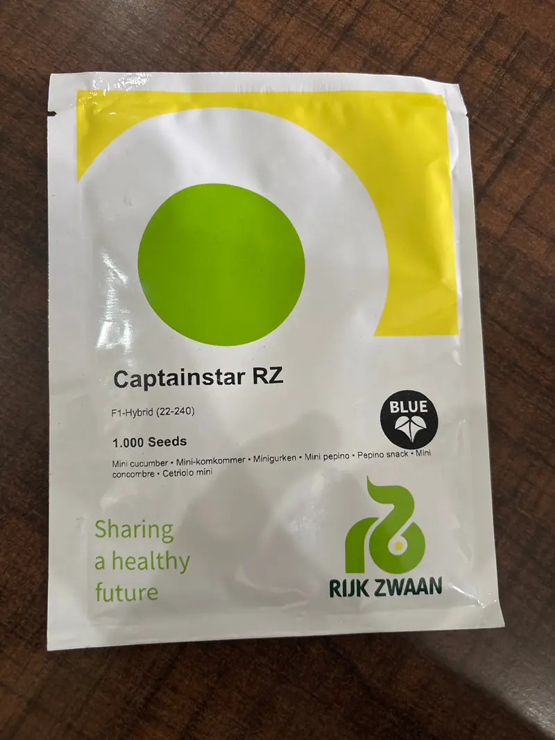 Emirstar Rz Mini Cucumber Seeds (22-244) – Rijk Zwaan F1 Hybrid 1