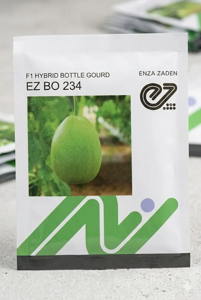 Ez Bo 234 F1 Hybrid Round Bottle Gourd Seeds – Compact Vine, Uniform Shape (Enza Zaden) 1