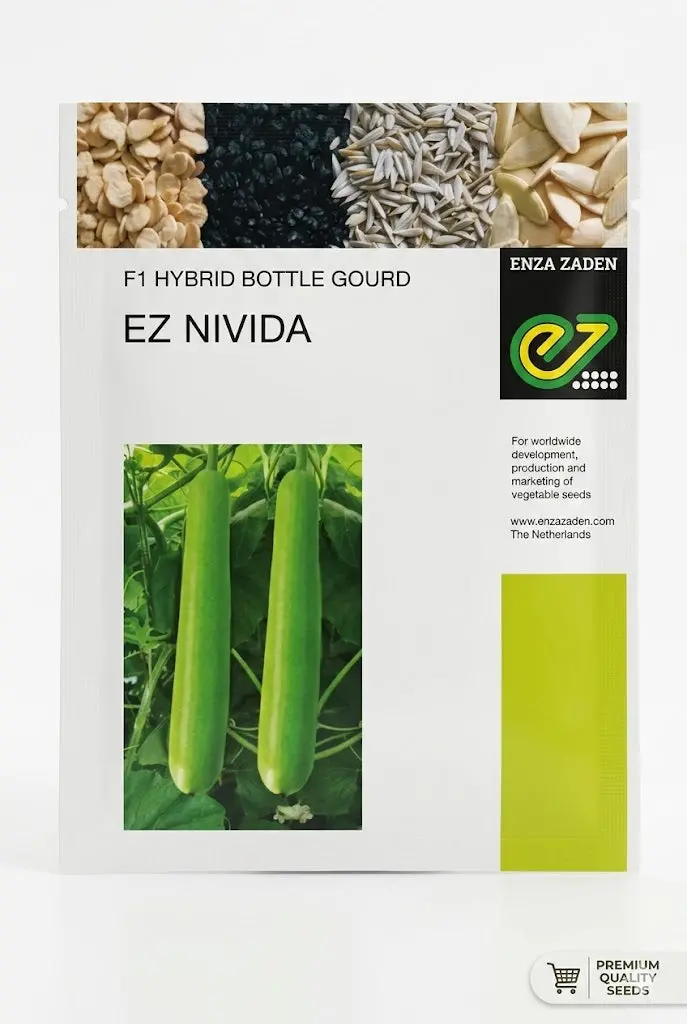 Ez Nivida F1 Hybrid Bottle Gourd Seeds – High Yield, Disease Tolerant (Enza Zaden) 1