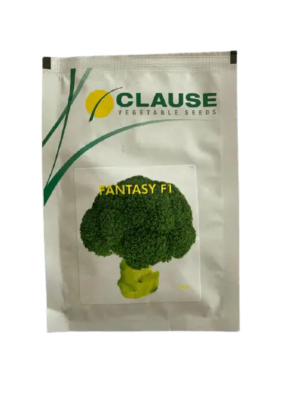 Fantasy F1 Hybrid Broccoli Seeds – High-Yield, Uniform Heads – Clause Seeds 1