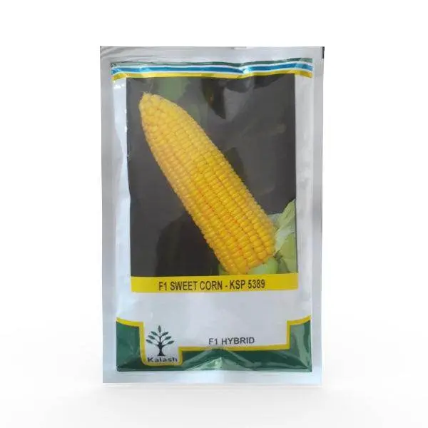 Farm Sweet Ksp-5389 F1 Sweet Corn – Tender, Golden-Kernel Hybrid – Kalash Seeds 1