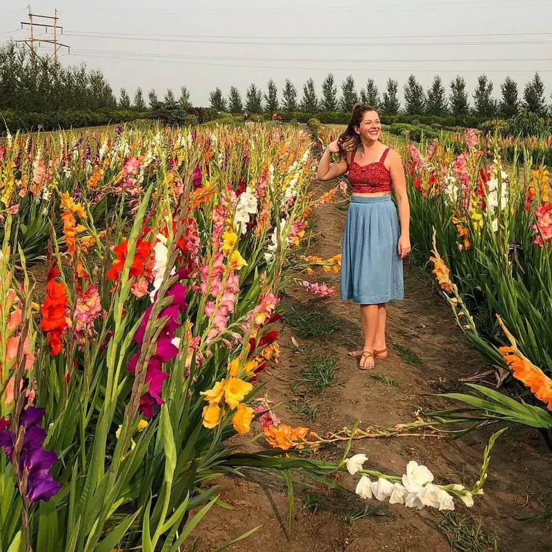 Farmers Stop Gladiolus & Tuberose Flower Bulbs 1