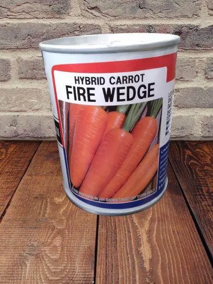 Fire Wedge F1 Hybrid Carrot Seeds – Takii Brand 1